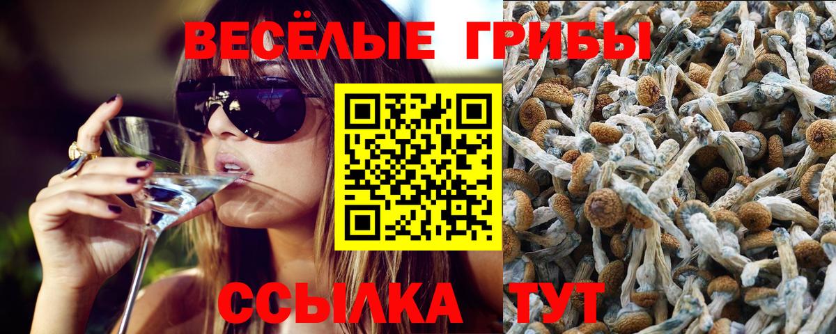Галлюциногенные грибы Magic Shrooms Октябрьский